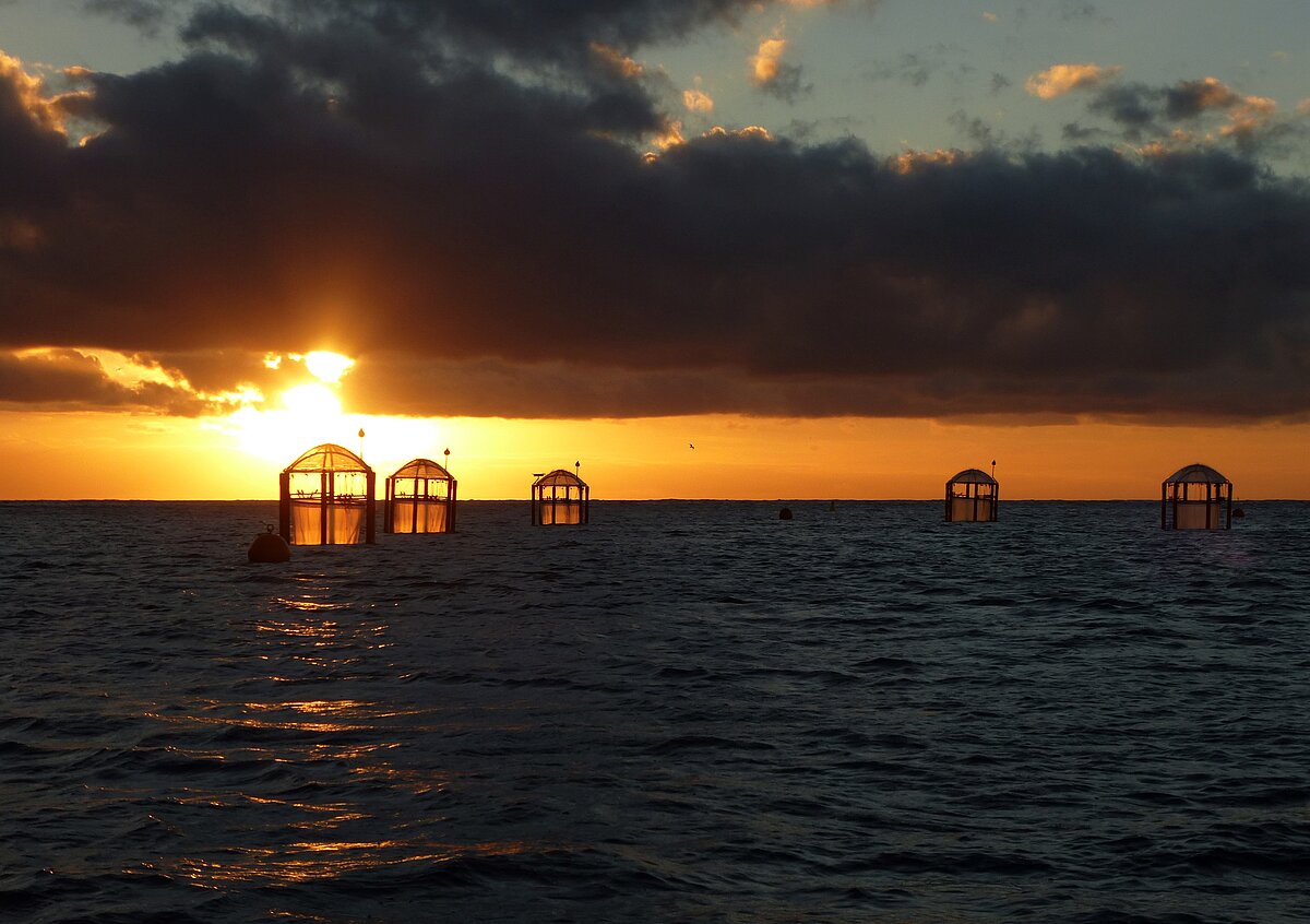 Figure 2 Left: Study locations and times of KOSMOS mesocosm studies on ocean acidification in European waters. Experimental durations lasted from 30 to 111 days. Applied CO2 perturbations covered the range of IPCC scenarios from RCP2.6 to RCP8.5. Right: Mesocoms during the Canary Island study in 2014.