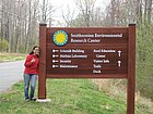 GAME-participant Imbarini Raraswati leaning against the SERC road sign. Foto: Tiffany Pasco