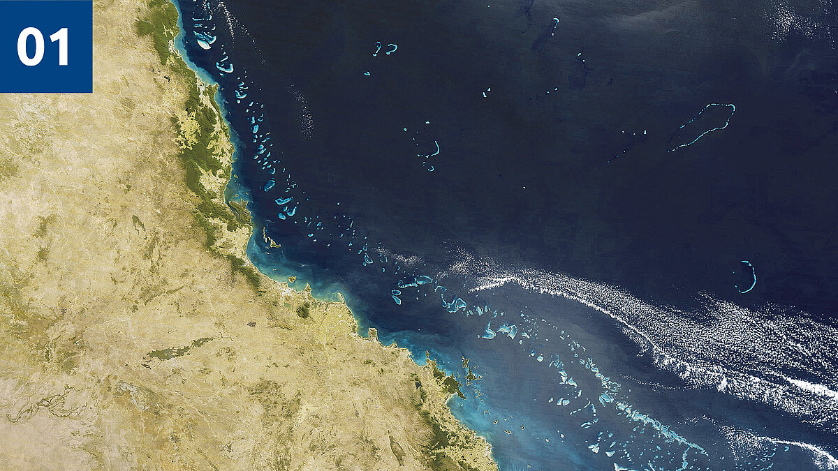 Teaser Das Schicksal der Korallenriffe Petersen Exzellenz-Professur 01 