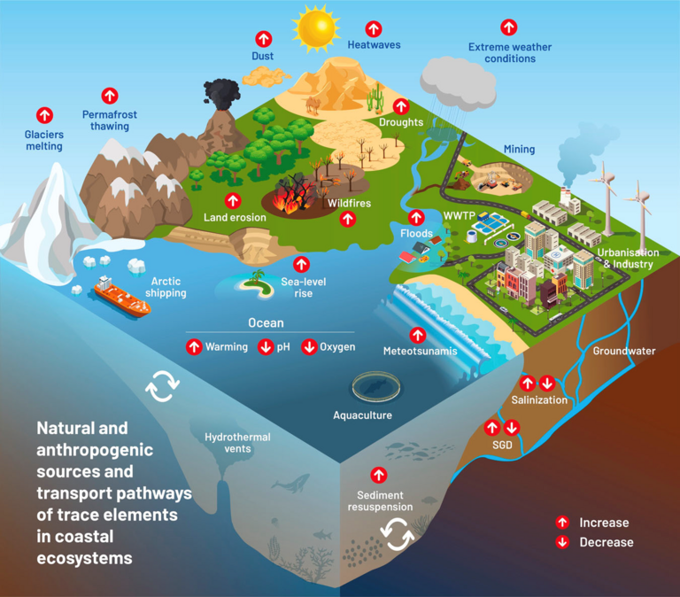 An illustration showing the coastal area