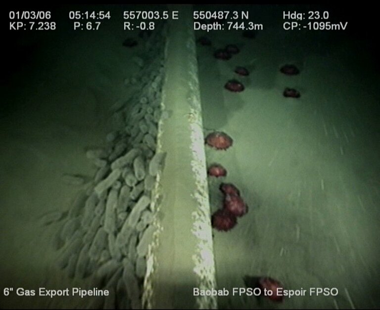 Reste gelatinöser Organismen in etwa 750 m Tiefe vor der Elfenbeinküste. Von Lebrato & Jones, 2009.