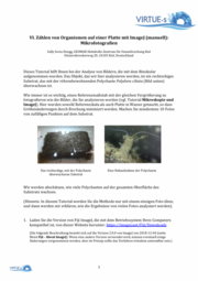 Icon für ImageJ-Tutorials