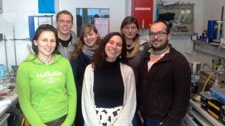 Members of the working group 2015