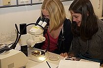 Katharina Munsche (li) und Jasmin Dehnen beim Mikroskopieren. Foto: I. Oelrichs, IFM-GEOMAR.