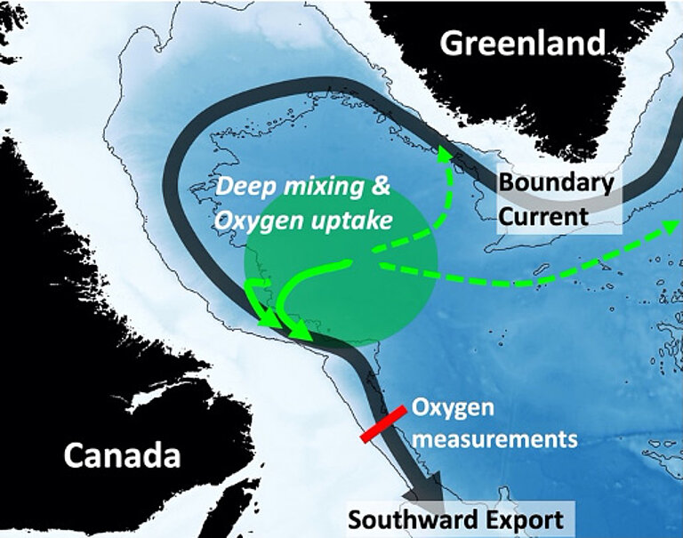 Karte mit Meeresströmungen