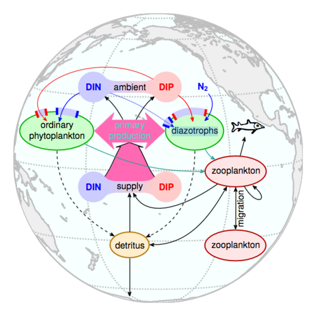 Ecosystem Modelling 
