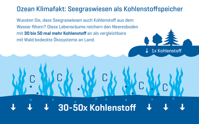 Visual Ozean Klimafakt 08