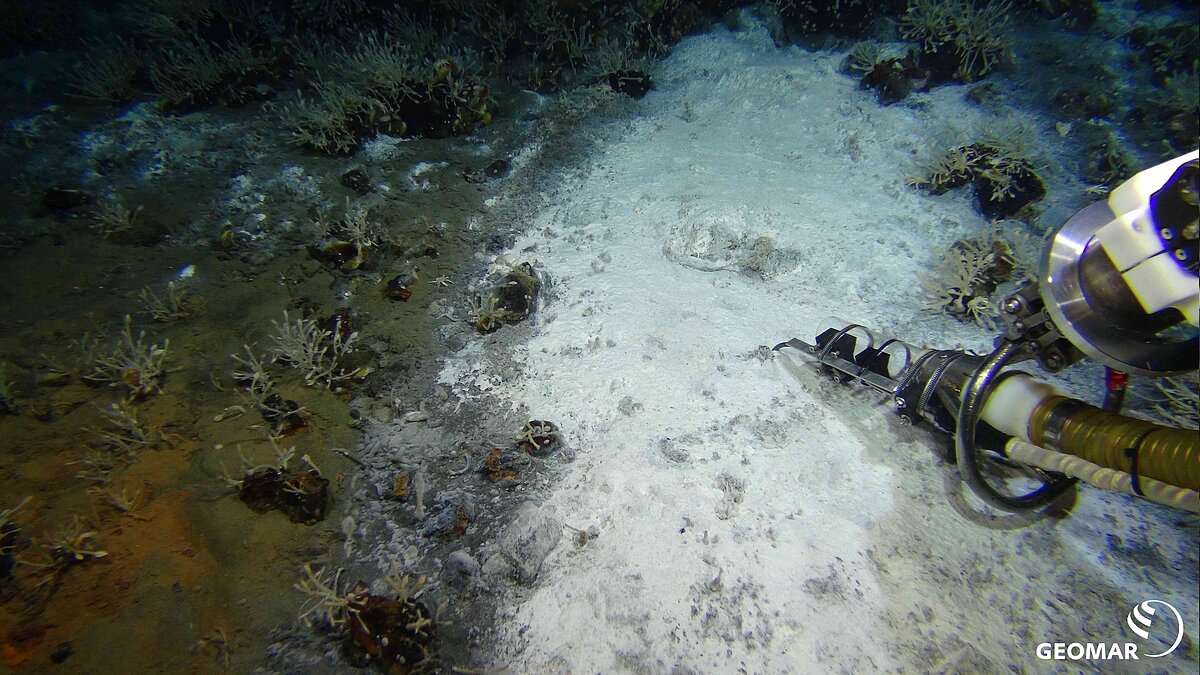 Slurp an Microbial Mat