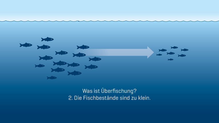 Überfischung: Die Fischbestände sind zu klein.