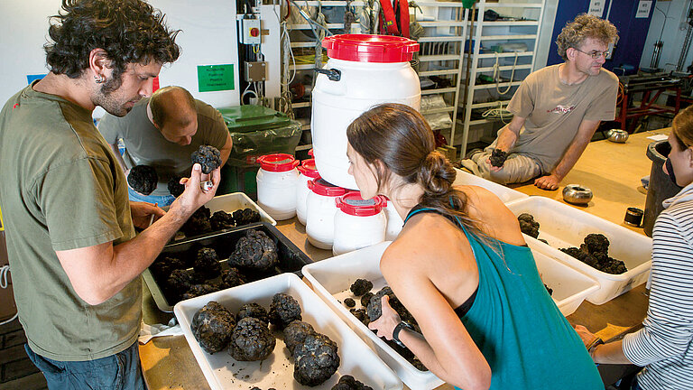 Erste Begutachtung von Manganknollen an Bord während der Expedition SO242 mit dem Forschungsschiff SONNE. 