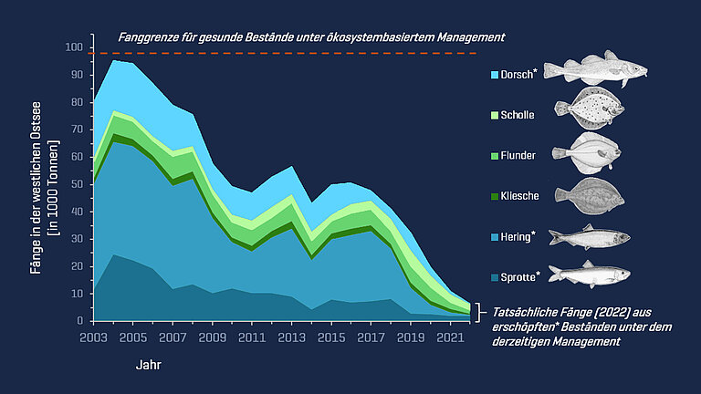Grafik, die zeigt, wie stark die Fänge verschiedener Fischarten geschrumpft sind