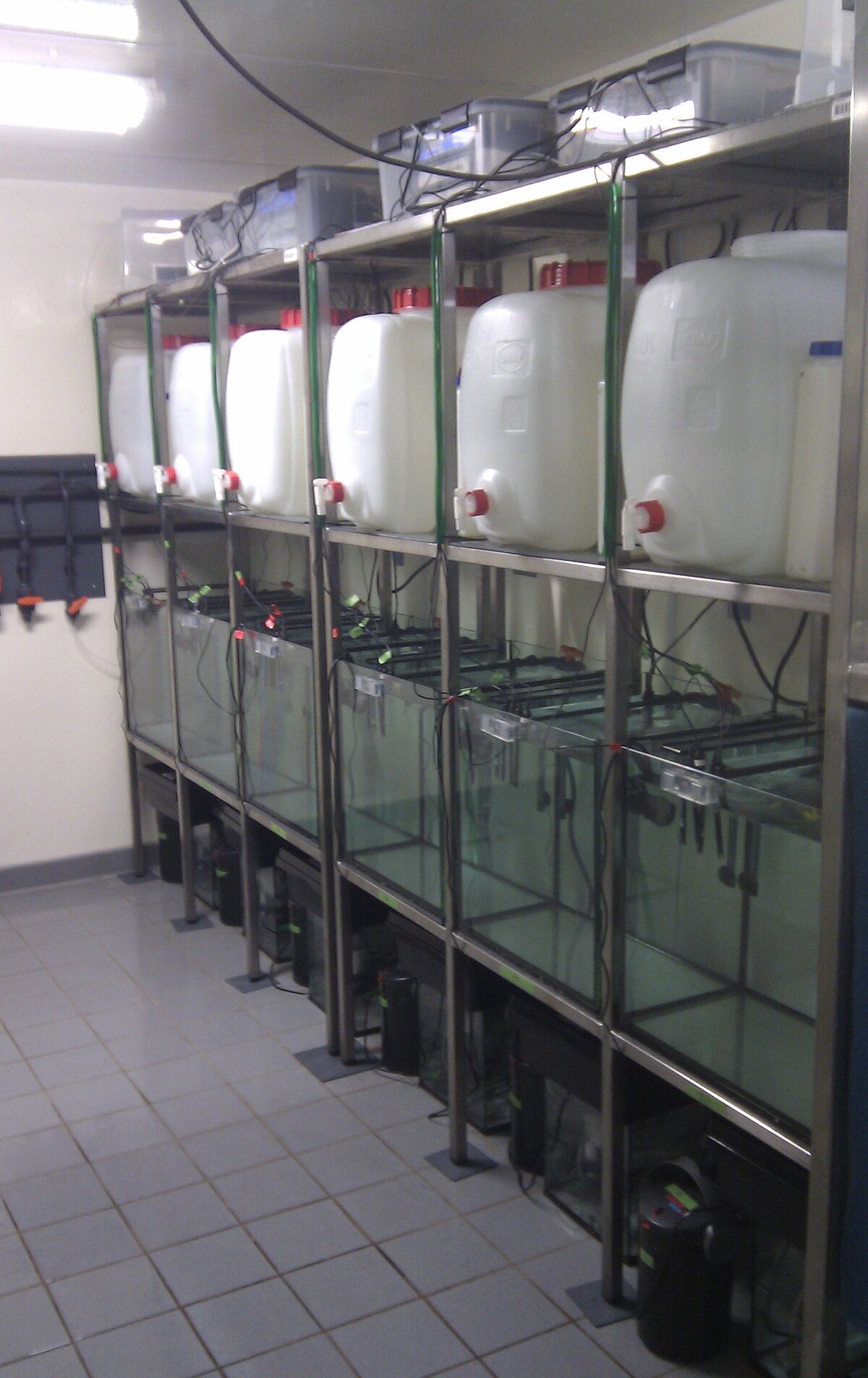 Viele Wassertanks und Glasaquarien in einem Metallregal in einer Klimakammer