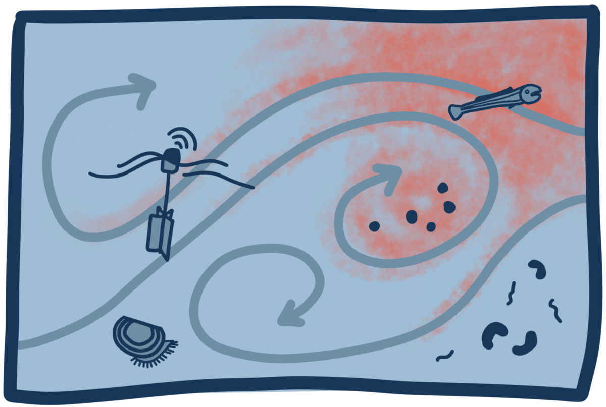 Interdisziplinäre Anwendungen