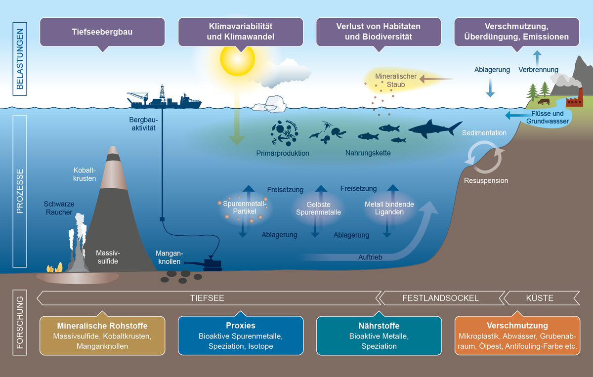 Übersicht von Prozessen und Forschungsthemen des IRF "Metalle im Ozean". Illustration: Christoph Kersten/GEOMAR 