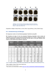 Beispielseite Sukzessionspaket