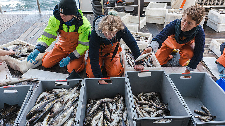 Foto ALKOR Expedition AL594 