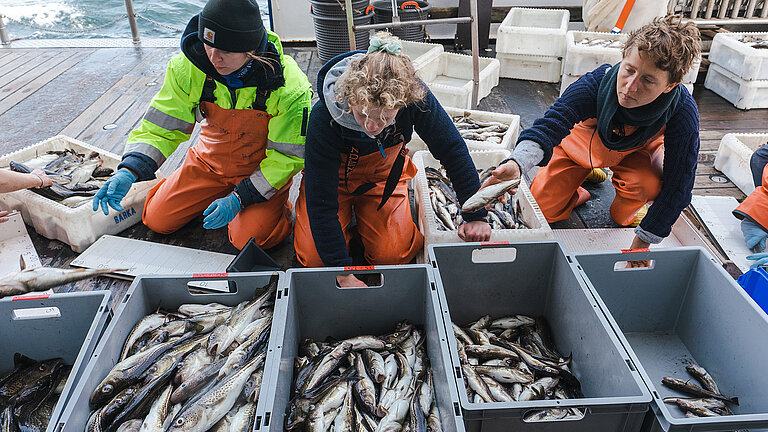 Foto ALKOR Expedition AL594 