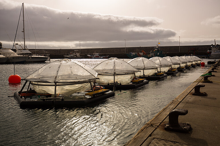 Mesokosmen auf Gran Canaria.