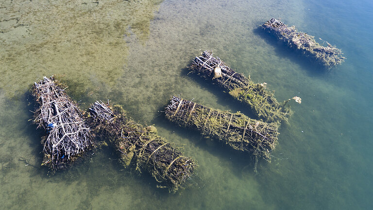 Auf dem Bild sind im Wasser liegende Reisigbündel (also Totholz) zu sehen
