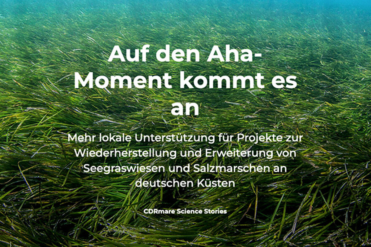 Teaser Science Story Seegraswiesen