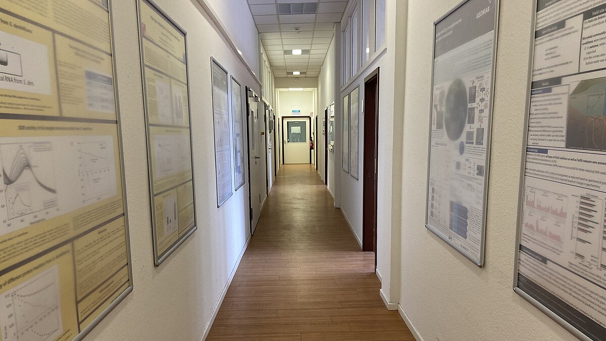 Photo credit: © Stefanie Böhnke-Brandt