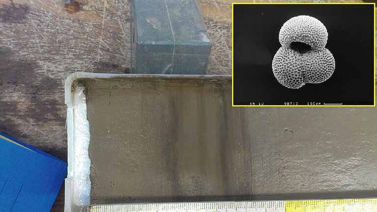 Analysierter Sedimentkern aus dem Karibischen Meer