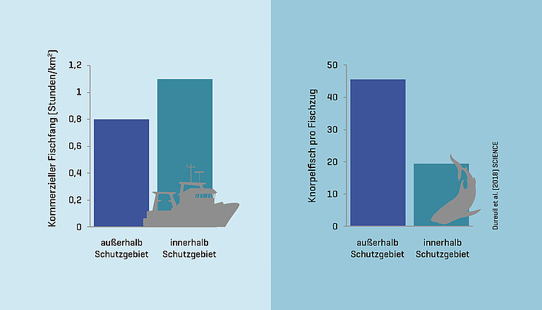 Commercial trawling (left) and catches of elasmobranch (right) outside and inside of protected areas. Graphics: M. Dureuil, Dalhousie Univ.