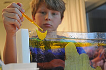 Anhand einfacher Experimente sollten die Schüler die Sauerstoffarmut in der Ostsee verstehen. Foto: M. Nicolai, GEOMAR
