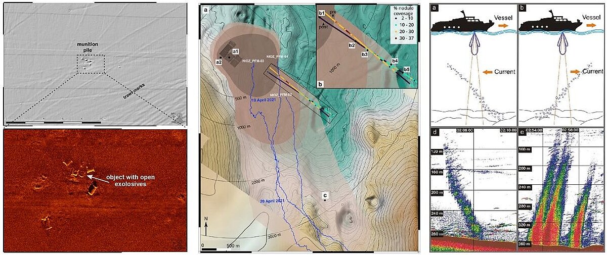 Natural-sciences_DSM
