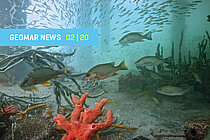 Cover-Foto GEOMAR NEWS 