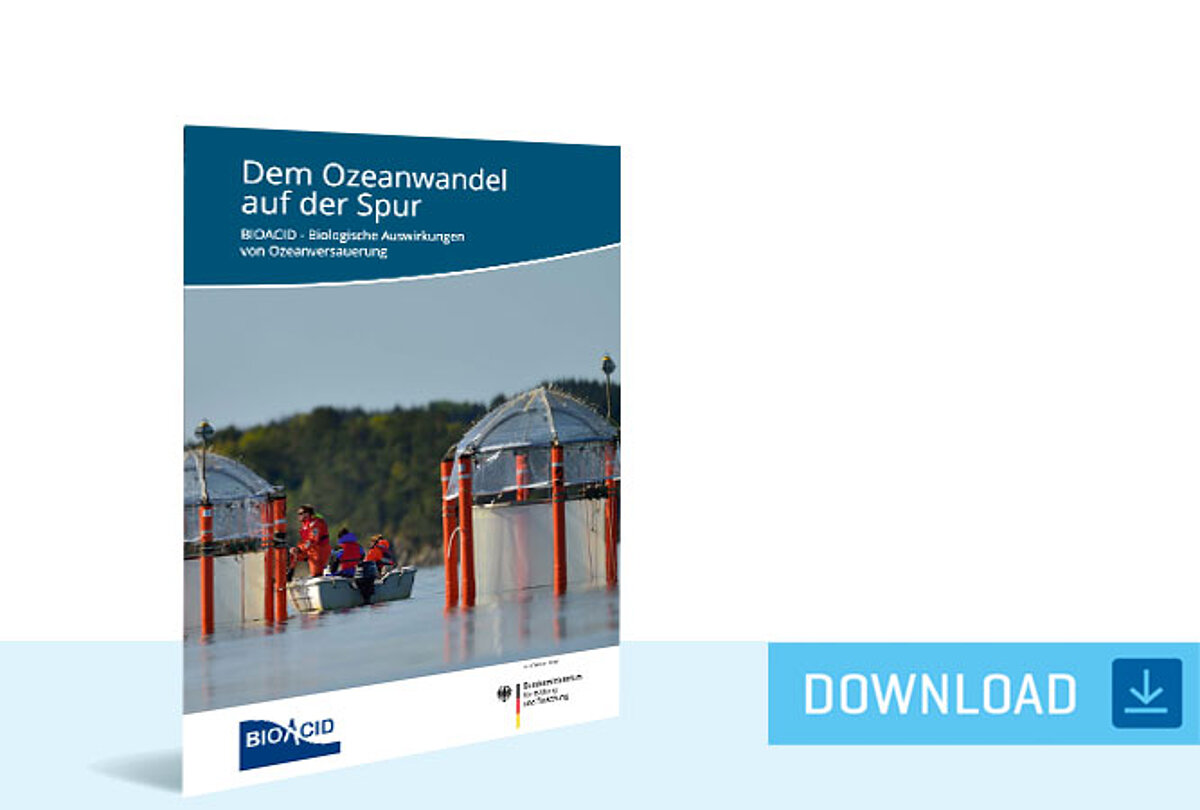 BIOACID-Broschüre: Dem Ozeanwandel auf der Spur