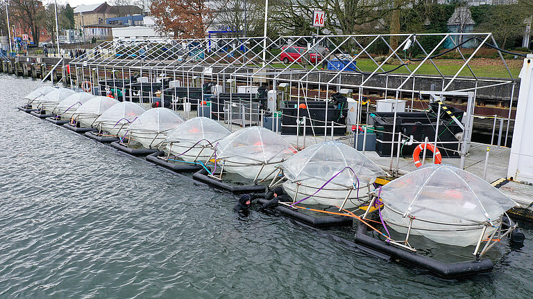Die Mesokosmen liegen für ihren Einsatz an der Pier hinter der Benthokosmen-Plattform bereit. 