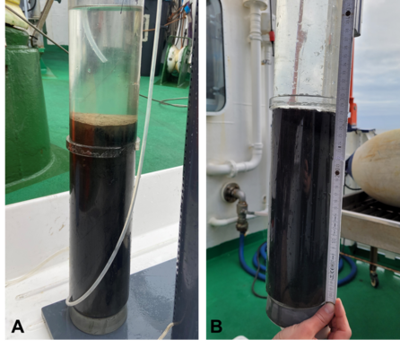 [Translate to English:] Sedimentkerne