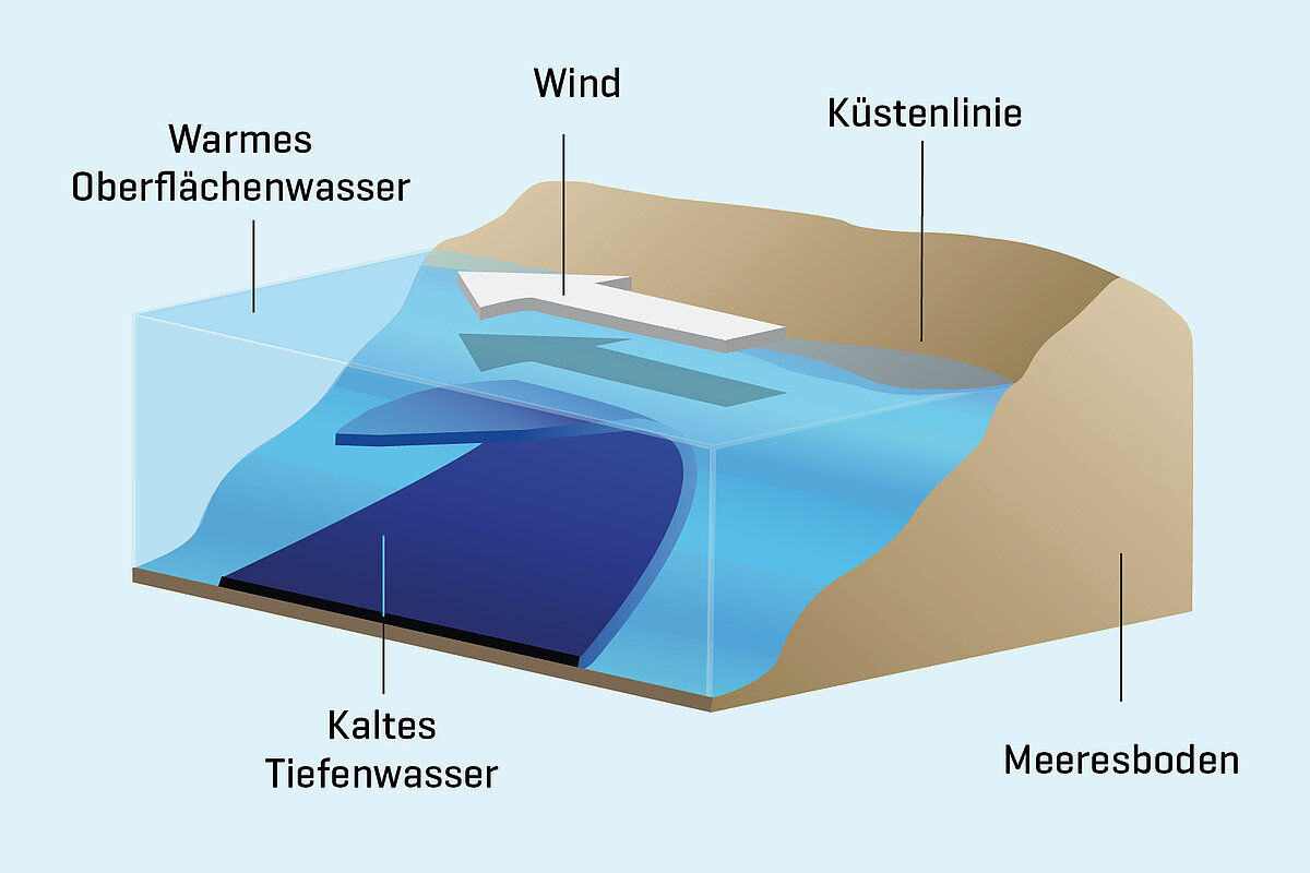Illustration Küstenauftriebsgebiet