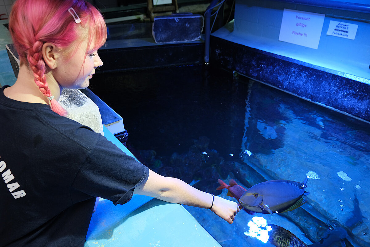 Auszubildende im Aquarium GEOMAR