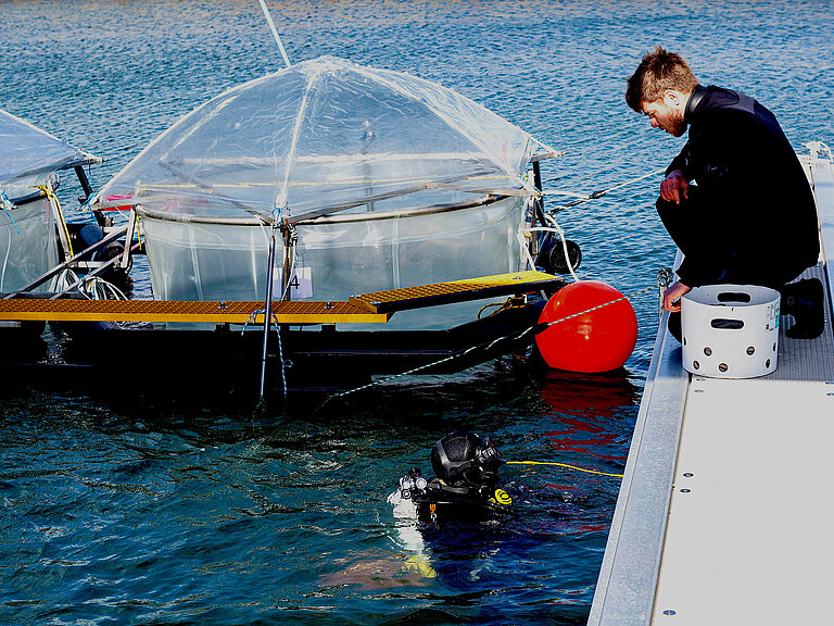 Mesokosmen auf Helgoland