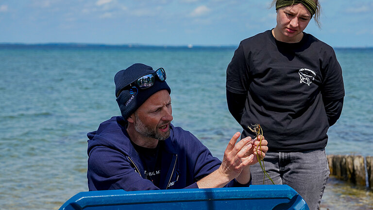 Ein Mann mit blauer Strickmütze hockt am Strand hinter einer Kühlbox mit blauem Deckel und hält einen Seegras-Spross hoch.