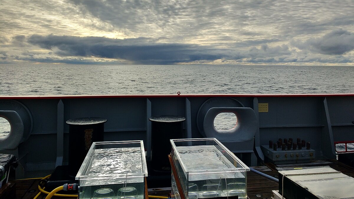 Incubators facing Sormcell on a boat