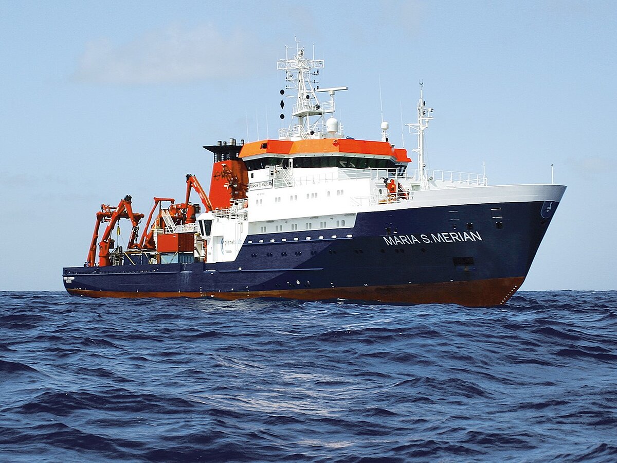 Bild Maria S. Merian