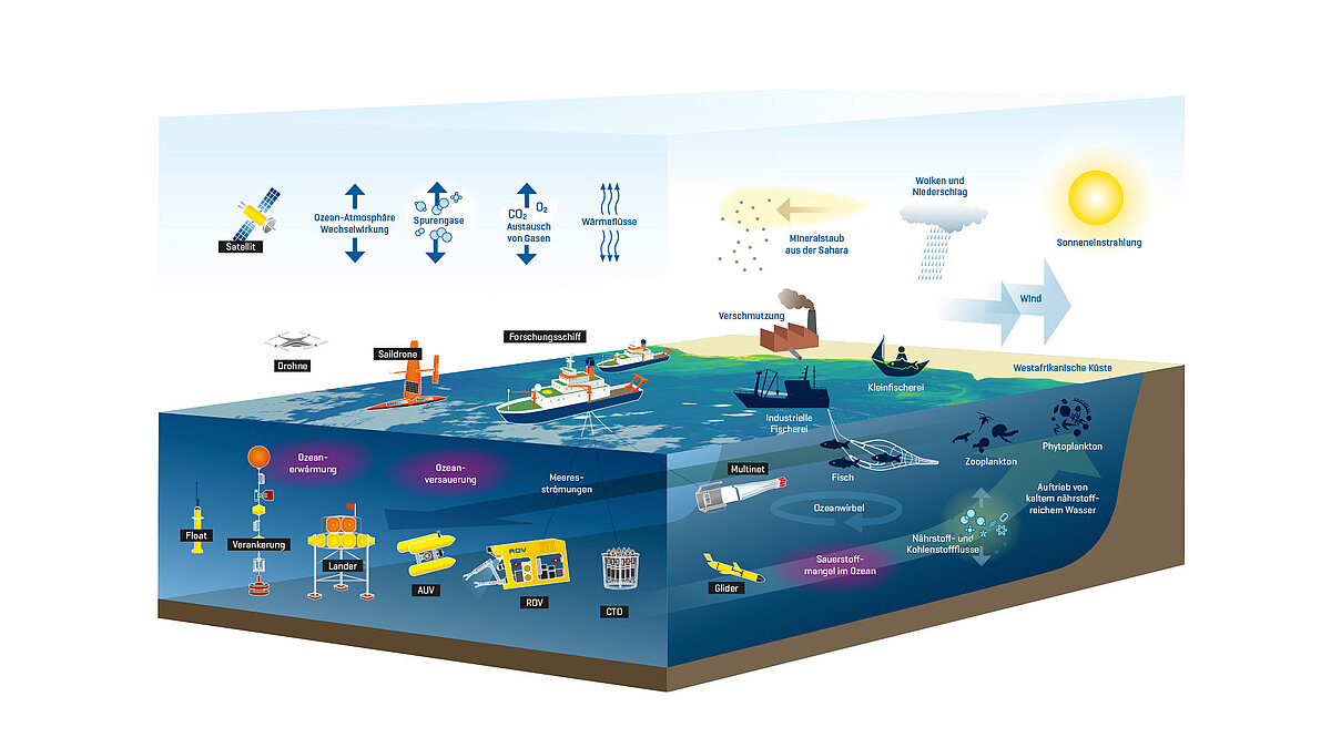 Beobachtungsplattformen zusammen mit physikalischen und biogeochemischen Prozessen und Komponenten der Nahrungskette