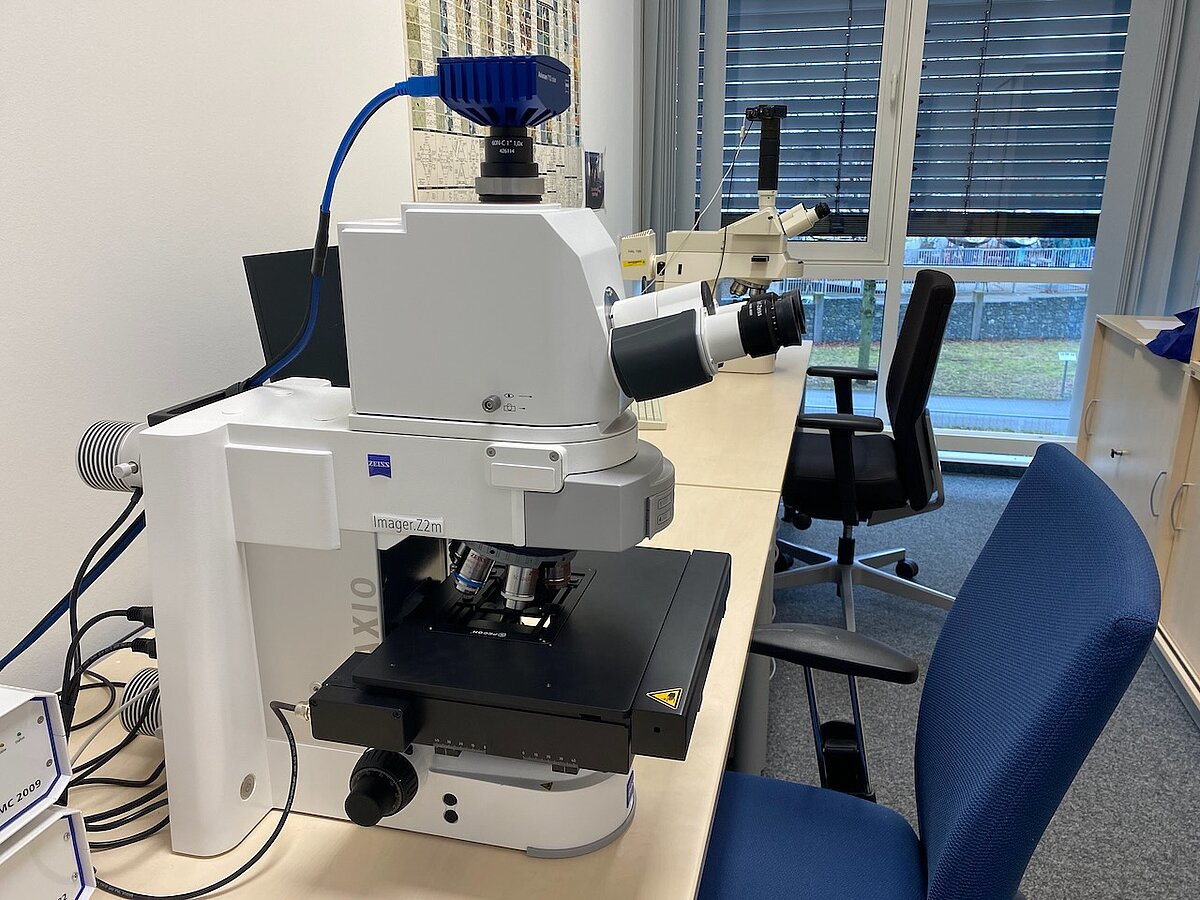 Polarized light microscopes