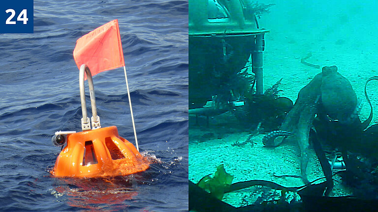 Ein Ozeanbodenseismometer des Ifremers 