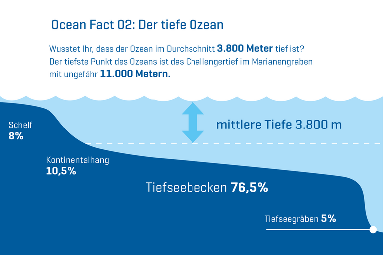 Wusstet Ihr, dass der Ozean im Durchschnitt 3.800 Meter tief ist? Der tiefste Punkt des Ozeans ist das Challengertief im Marianengraben mit ungefähr 11.000 Metern.