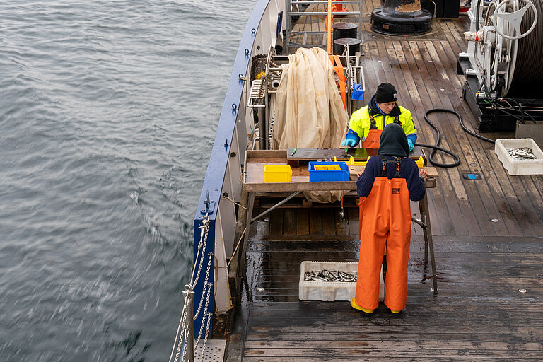 Arbeiten auf der ALKOR