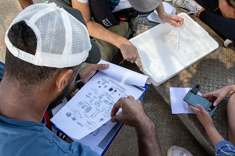 Untersuchung von Wasserproben