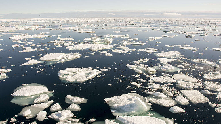 Viele kleine Eisschollen schwimmen im Meer