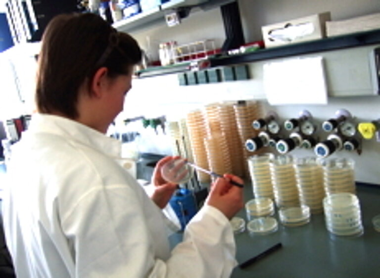 Schülerin im Berufspraktikum