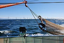 Fischerboot, das sein Netz ausbringt