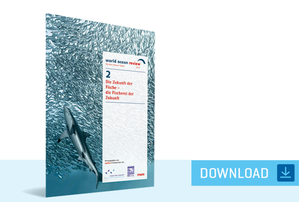WOR 2: Die Zukunft der Fische – die Fischerei der Zukunft. Die zweite Ausgabe des World Ocean Review widmet sich der Zukunft der Fische und deren Nutzung durch den Menschen.