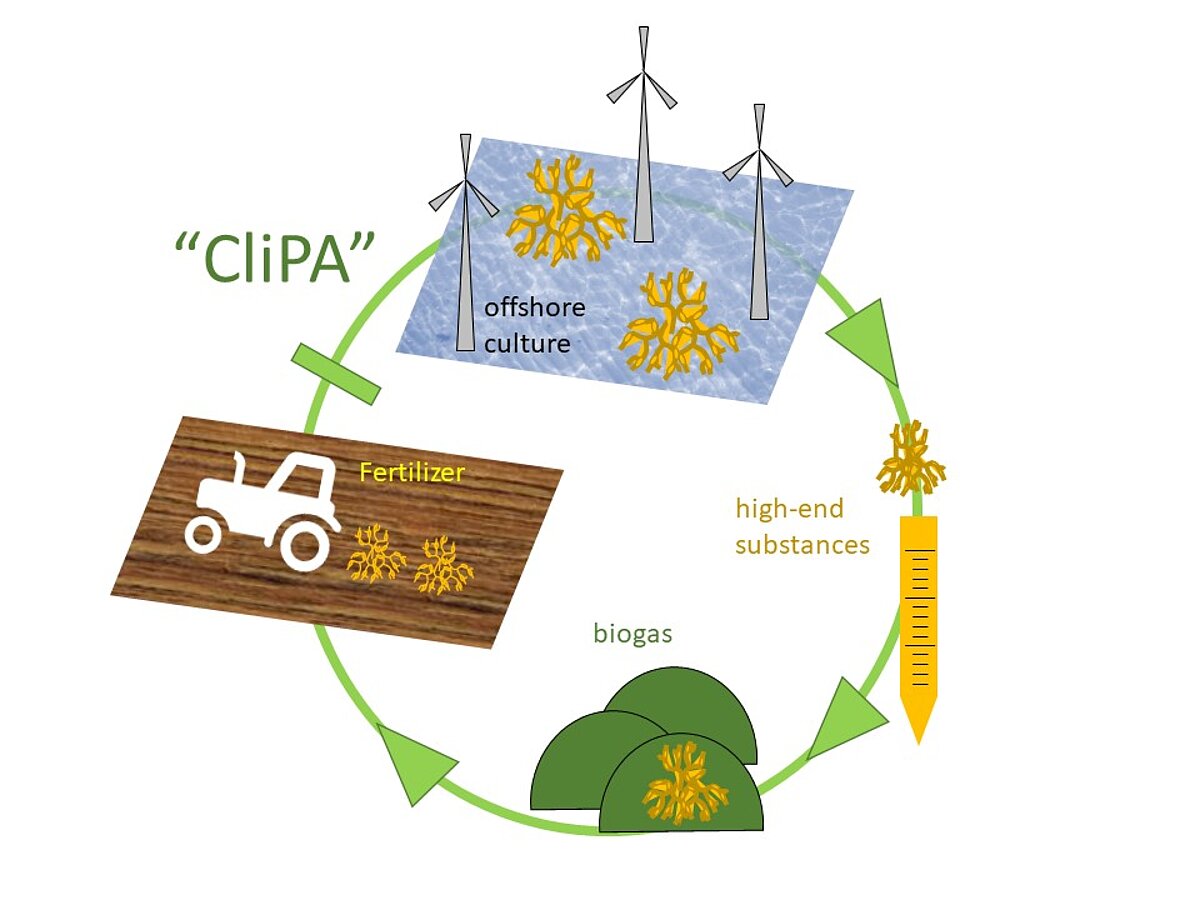 CliPA concept